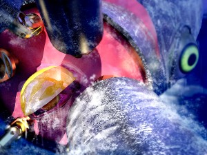 squidcloseup (1)